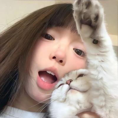 蓝色矢车菊